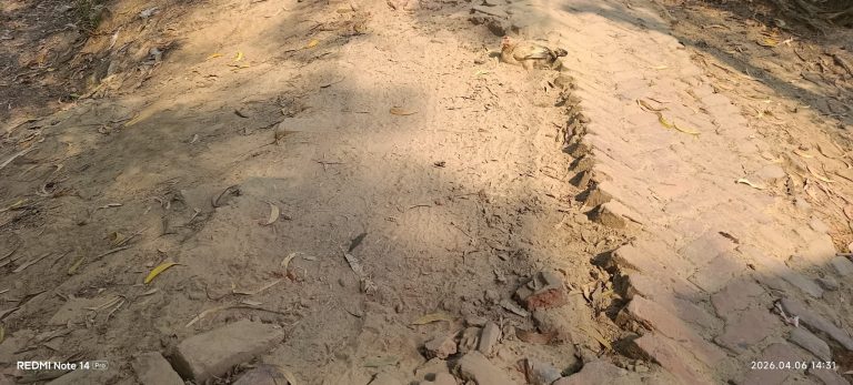 ৩০ বছরেও ছোঁয়া লাগেনি উন্নয়নের পটিয়ার গুরুত্বপূর্ণ সড়কে দুর্ভোগ চরমে