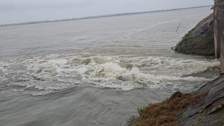 পাউবোর বাঁধ ভেঙে তলিয়ে যাচ্ছে হাওরের ফসল
